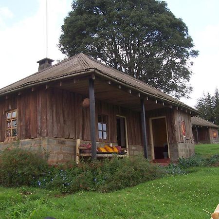 Castle Forest Lodge Mount Kenya National Park Kültér fotó