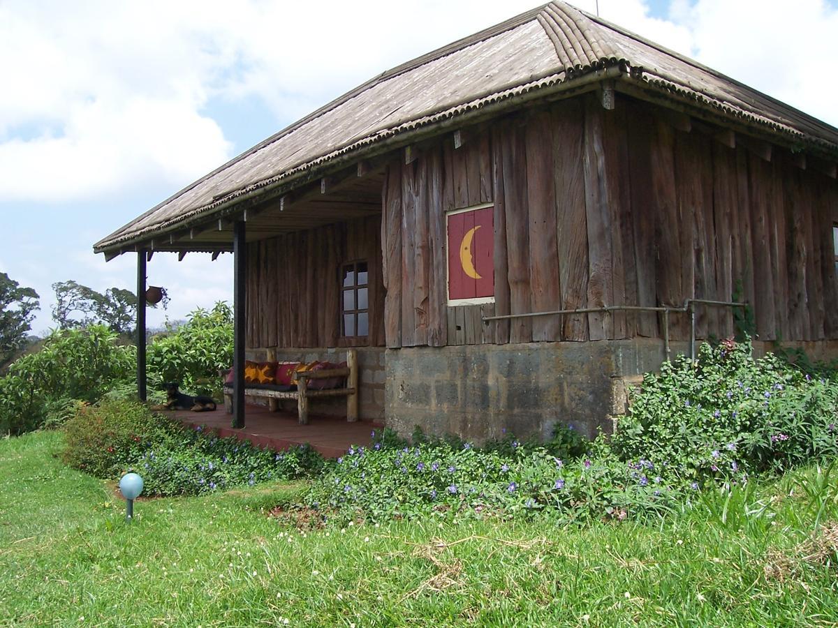 Castle Forest Lodge Mount Kenya National Park Kültér fotó