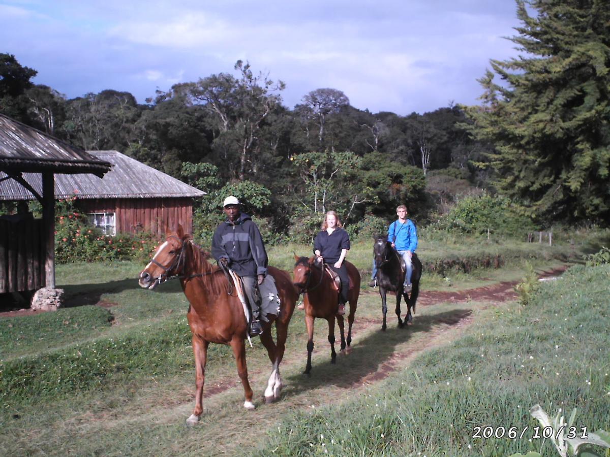 Castle Forest Lodge Mount Kenya National Park Kültér fotó