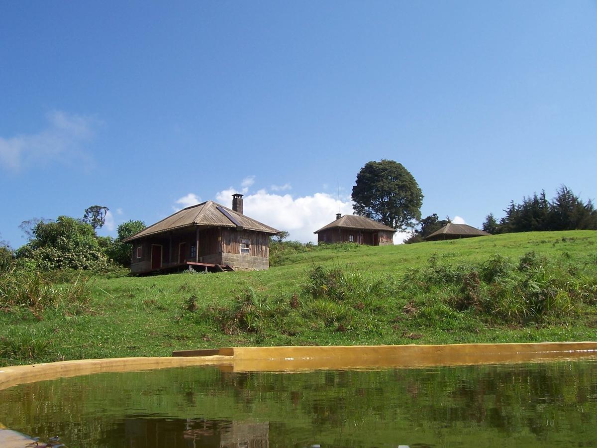 Castle Forest Lodge Mount Kenya National Park Kültér fotó