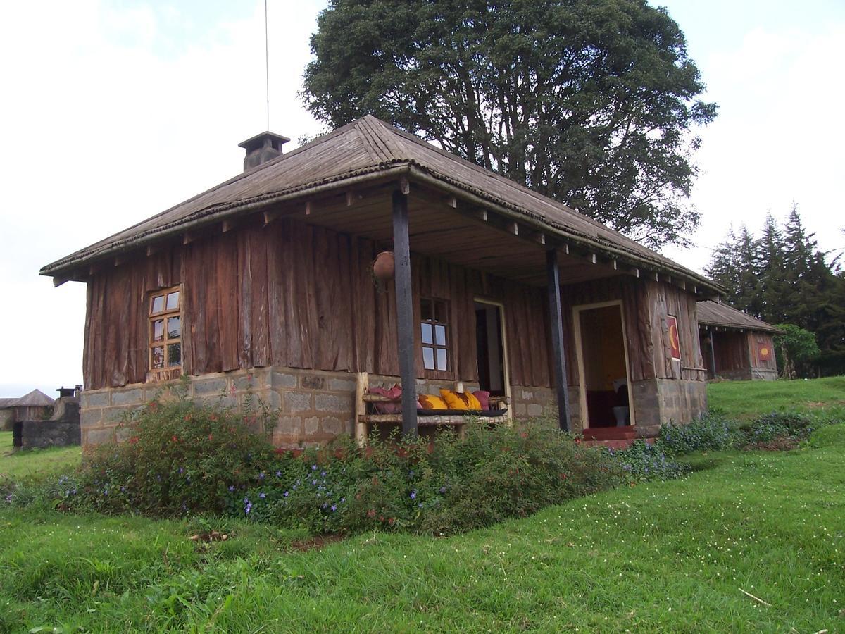 Castle Forest Lodge Mount Kenya National Park Kültér fotó