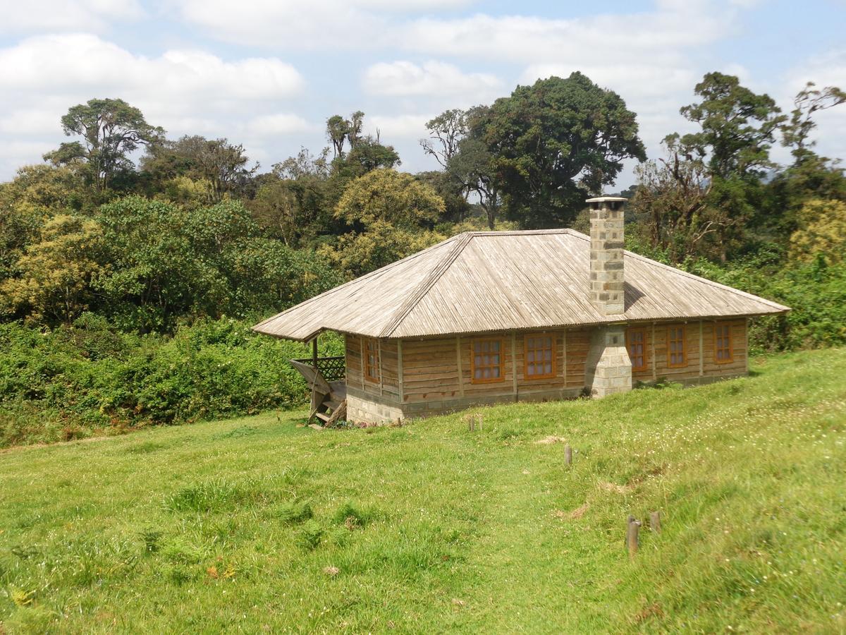 Castle Forest Lodge Mount Kenya National Park Kültér fotó