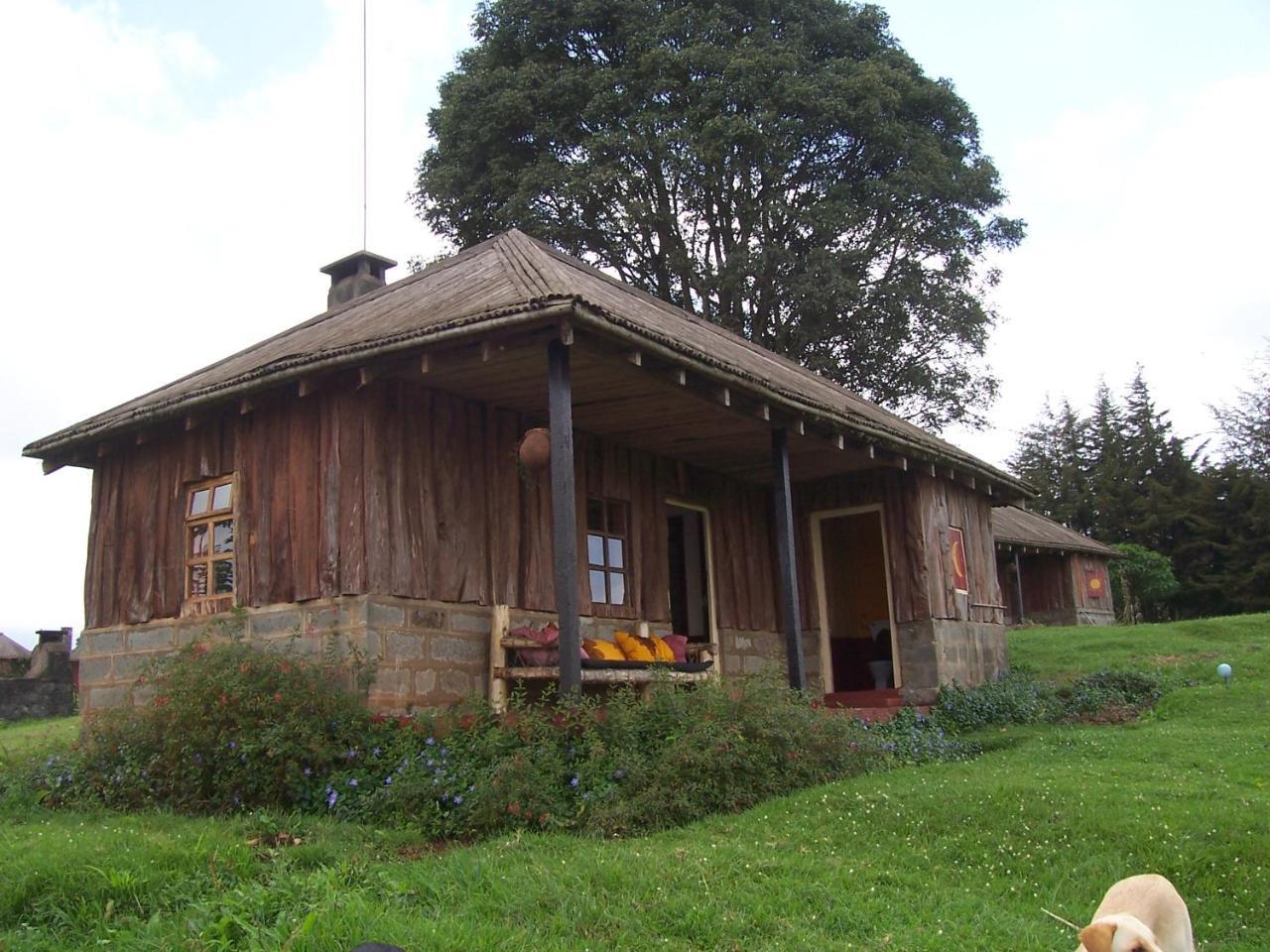 Castle Forest Lodge Mount Kenya National Park Kültér fotó